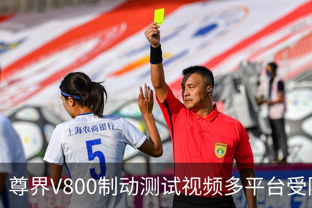 尊界V800制动测试视频多平台受限 官方回应仍可查阅